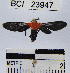  ( - YB-BCI23947)  @13 [ ] No Rights Reserved  Unspecified Unspecified