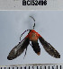  ( - YB-BCI52498)  @13 [ ] No Rights Reserved  Unspecified Unspecified