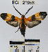 ( - YB-BCI21956)  @14 [ ] No Rights Reserved  Unspecified Unspecified