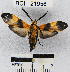  ( - YB-BCI21956)  @13 [ ] No Rights Reserved  Unspecified Unspecified