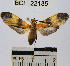  ( - YB-BCI22135)  @14 [ ] No Rights Reserved  Unspecified Unspecified
