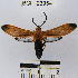  ( - YB-BCI23954)  @14 [ ] No Rights Reserved  Unspecified Unspecified