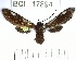  ( - YB-BCI17894.1)  @11 [ ] No Rights Reserved  Unspecified Unspecified