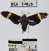  ( - YB-BCI17696)  @12 [ ] No Rights Reserved  Unspecified Unspecified