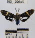  ( - YB-BCI22645)  @13 [ ] No Rights Reserved  Unspecified Unspecified