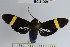  ( - YB-bci31069)  @13 [ ] No Rights Reserved  Unspecified Unspecified