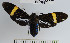  ( - YB-BCI39371)  @13 [ ] No Rights Reserved  Unspecified Unspecified