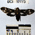  ( - YB-BCI17773)  @12 [ ] No Rights Reserved  Unspecified Unspecified