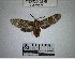  ( - YB-BCI193595)  @11 [ ] No Rights Reserved  Unspecified Unspecified