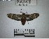  ( - YB-BCI193783)  @11 [ ] No Rights Reserved  Unspecified Unspecified