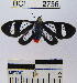  ( - YB-BCI2756)  @13 [ ] No Rights Reserved  Unspecified Unspecified