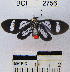  ( - YB-BCI2756)  @13 [ ] No Rights Reserved  Unspecified Unspecified