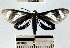  ( - YB-BCI40040)  @13 [ ] No Rights Reserved  Unspecified Unspecified