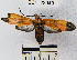  ( - YB-BCI22949)  @13 [ ] No Rights Reserved  Unspecified Unspecified