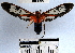  ( - YB-BCI40979)  @13 [ ] No Rights Reserved  Unspecified Unspecified
