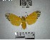  ( - YB-BCI194877)  @11 [ ] No Rights Reserved  Unspecified Unspecified