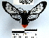  ( - YB-bci32533)  @12 [ ] No Rights Reserved  Unspecified Unspecified