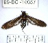  ( - YB-99-BCI-10057)  @11 [ ] No Rights Reserved  Unspecified Unspecified