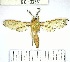  ( - YB-BCI132381)  @11 [ ] No Rights Reserved  Unspecified Unspecified