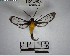  ( - YB-BCI193848)  @11 [ ] No Rights Reserved  Unspecified Unspecified