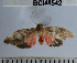  ( - YB-BCI48542)  @12 [ ] No Rights Reserved  Unspecified Unspecified