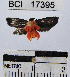  ( - YB-BCI17395)  @13 [ ] No Rights Reserved  Unspecified Unspecified