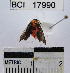  ( - YB-BCI17990)  @12 [ ] No Rights Reserved  Unspecified Unspecified