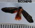  ( - YB-BCI34069)  @12 [ ] No Rights Reserved  Unspecified Unspecified