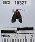  ( - YB-BCI18327)  @13 [ ] No Rights Reserved  Unspecified Unspecified