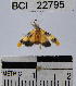  ( - YB-BCI22795)  @13 [ ] No Rights Reserved  Unspecified Unspecified