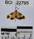  ( - YB-BCI22795)  @13 [ ] No Rights Reserved  Unspecified Unspecified