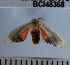  ( - YB-BCI48368)  @12 [ ] No Rights Reserved  Unspecified Unspecified