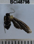  ( - YB-BCI48798)  @12 [ ] No Rights Reserved  Unspecified Unspecified