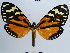  ( - YB-BCI50027)  @14 [ ] No Rights Reserved  Unspecified Unspecified