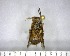  ( - YB-BCI177859)  @11 [ ] No Rights Reserved  Unspecified Unspecified