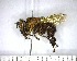  ( - YB-BCI171380)  @11 [ ] No Rights Reserved  Unspecified Unspecified