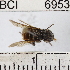  ( - YB-BCI6953)  @11 [ ] No Rights Reserved (2011) Yves Basset Smithsonian Tropical Research Institute