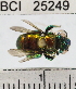  ( - YB-BCI25249)  @12 [ ] No Rights Reserved (2011) Yves Basset Smithsonian Tropical Research Institute