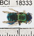  ( - YB-BCI18333)  @14 [ ] No Rights Reserved (2011) Yves Basset Smithsonian Tropical Research Institute