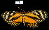  ( - YB-BCI230)  @11 [ ] No Rights Reserved  Unspecified Unspecified