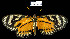  (Zegara - YB-BCI230.2)  @12 [ ] No Rights Reserved  Unspecified Unspecified