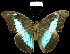  ( - YB-BCI2822)  @13 [ ] No Rights Reserved  Unspecified Unspecified