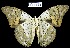  ( - YB-BCI2822)  @13 [ ] No Rights Reserved  Unspecified Unspecified