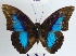  ( - YB-BCI66005)  @14 [ ] No Rights Reserved  Unspecified Unspecified