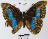 ( - YB-BCI19990)  @13 [ ] No Rights Reserved  Unspecified Unspecified