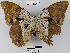  ( - YB-BCI19990)  @13 [ ] No Rights Reserved  Unspecified Unspecified