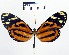  ( - YB-BCI2731)  @14 [ ] No Rights Reserved  Unspecified Unspecified