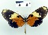  ( - YB-BCI4501)  @13 [ ] No Rights Reserved  Unspecified Unspecified