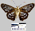  ( - YB-BCI12660)  @12 [ ] No Rights Reserved  Unspecified Unspecified