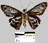  ( - YB-BCI17591)  @13 [ ] No Rights Reserved  Unspecified Unspecified